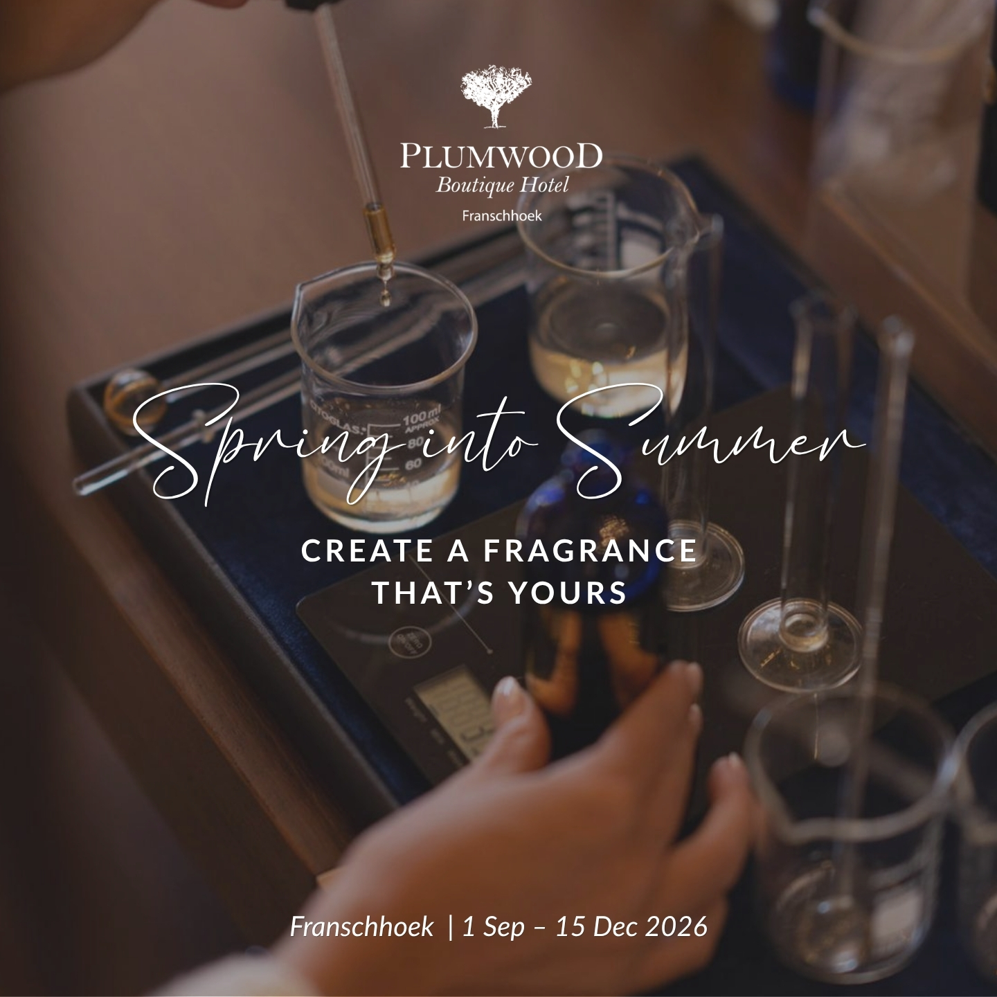 Spring into Summer offer at Plumwood Boutique Hotel, Franschhoek, valid 1 September to 15 December 2026